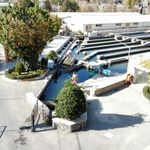 شرکت البرز کاسپین   ماهیسرای کرج 
