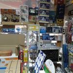 الکتریکی جوان