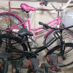 دوچرخه فروشی لاوی