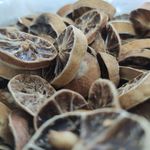 🌼عطاری  گُلِ نرگس🌼