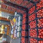 بارفروش ملک زاده