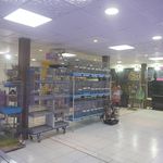 پرنده فروشی و پت شاپ