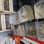 عسل وسوغاتی حسین زاده