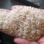 بازرگانی نبی