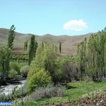 رودخانه طالقان ( طالقان رود)