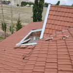 رضا ثمین فرخ