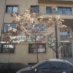 شرکت خدمات مسافرتی و گردشگری قصر آسمان