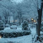 باغ ایرانی تهران