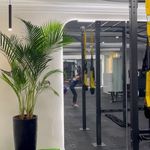 باشگاه تنوما