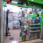 فروشگاه لوازم التحریر خانه سبز