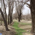 دره ییلاقی درریز