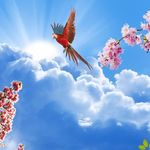 سقف کاذب و دکوراسیون فتحی زاهد