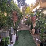 گل فروشی آندیا (شعبه دو)