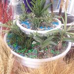 گل فروشی آندیا (شعبه دو)