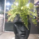 گل فروشی آندیا (شعبه دو)