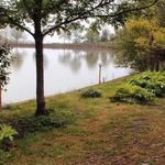 دریاچه قو جواهرده