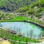 دریاچه قو جواهرده