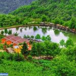 دریاچه قو جواهرده