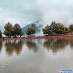 دریاچه قو جواهرده