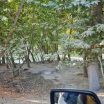 اجاره ویلا باغبهادران اصفهان