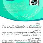 پژوهشگران الکترونیک و رباتیک