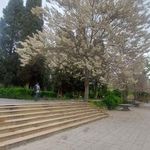 باغ ملی