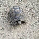 باغ تفریحی جیران