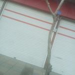 باربری بهنام