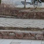 سرویس بهداشتی