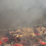 جگرسرای کلبه صحرا