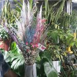 گل فروشی آندیا (شعبه دو)