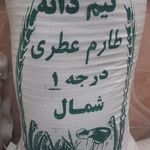 برنج فروشی همیشه بهار قائمشهر