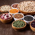 لبنیاتی نوربخش