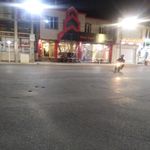 بانک سپه(قوامین سابق)