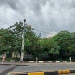 مسجد جامع الکلمه