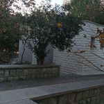 سرویس بهداشتی بوستان آرارات