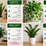 خدمات باغبانی گل کاری هرس کاری خاک گلدان