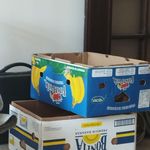 کارتن جهت اسباب کشی