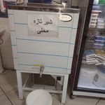 پروتئینی و لبنیات