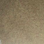 حبوبات خوشه طلا