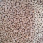 حبوبات خوشه طلا