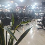 مجموعه‌ی ورزشی استیلا (ویژه‌ی بانوان)