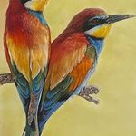 آکادمی هنری رنگارا