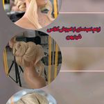 آرایشگاه و آموزشگاه آرایشگری ماهیسا