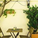 غذای سالم و گاهی نوای غذای پاک 