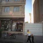 نان فانتزی زرین