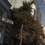 بیمه ایران