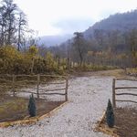 ویلا جنگلی سجروپه