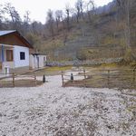 ویلا جنگلی سجروپه