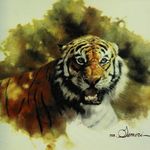 گالری هنری پالت